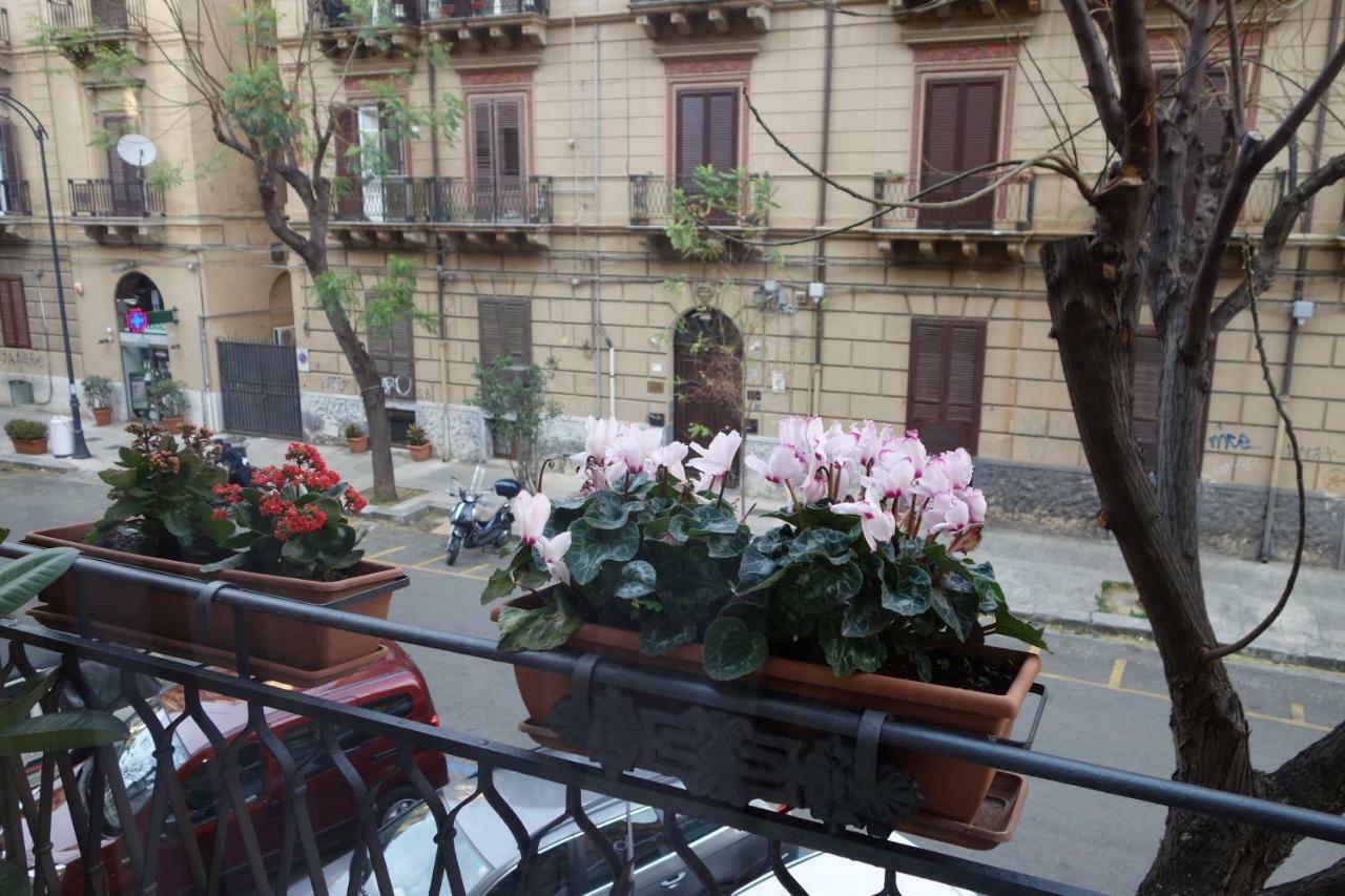 A Casa Di Amelie *